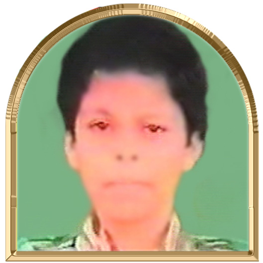 வர்மினா (தேன்மதி)