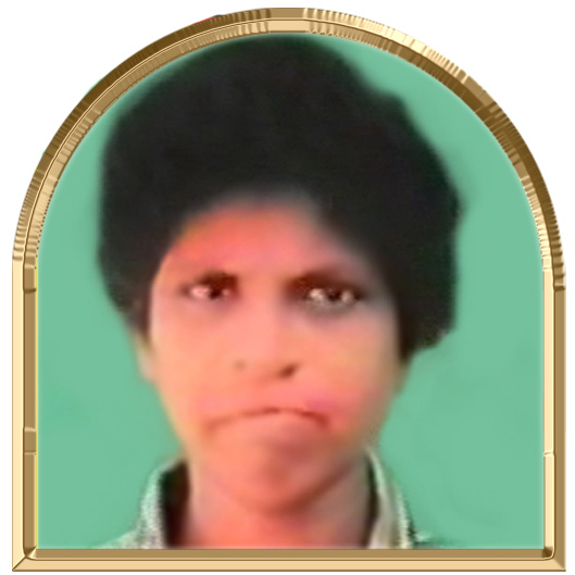 ஆரணி