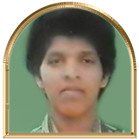செம்பருத்தி