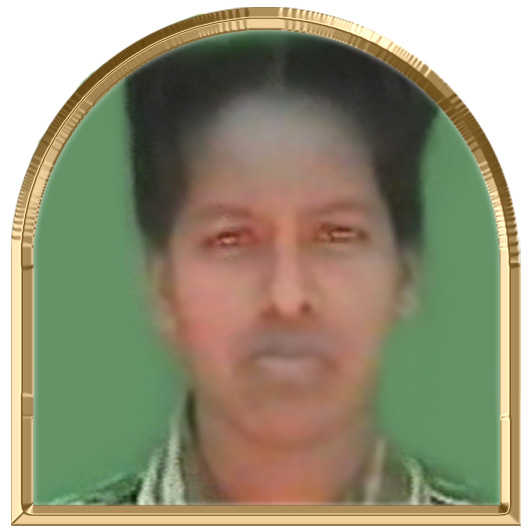 விஜி