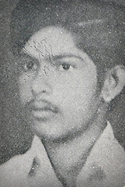 விக்கி