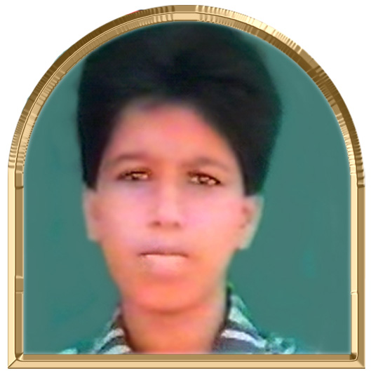 அமலி