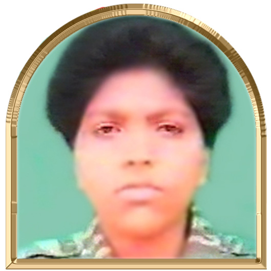 கடலரசி