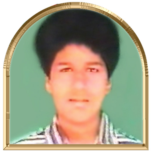 அஞ்சிறை (தமயந்தி)