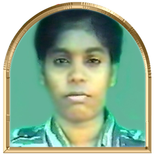 பாமினி (பாணுகா)