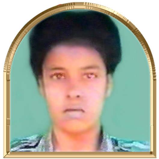 மாங்கனி