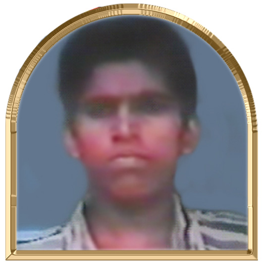 கோமணி