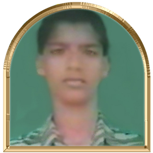 செங்கனல்