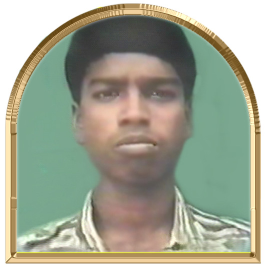 வளர்வாணன்
