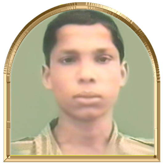 நகையானன்