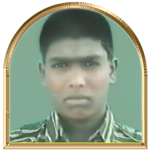 களவேங்கை