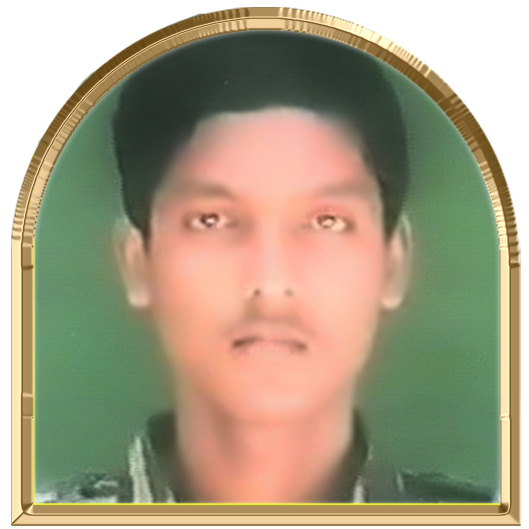 விற்கொடி