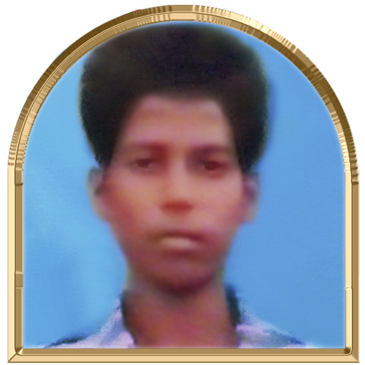 விடுதலை