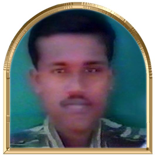 டினோ (பிரியன்)