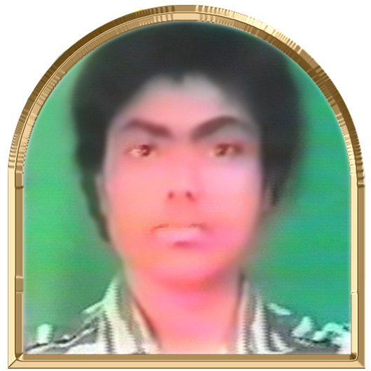 அருச்சுனா