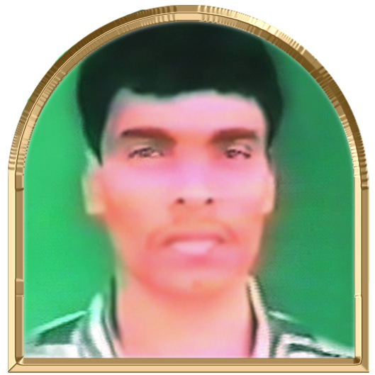 பல்லவன்