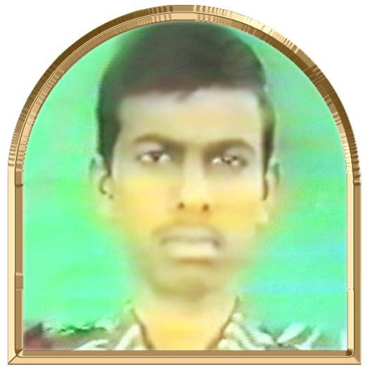 சோழநிலவன்