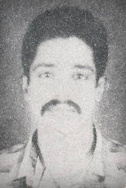 தாடிபாலா
