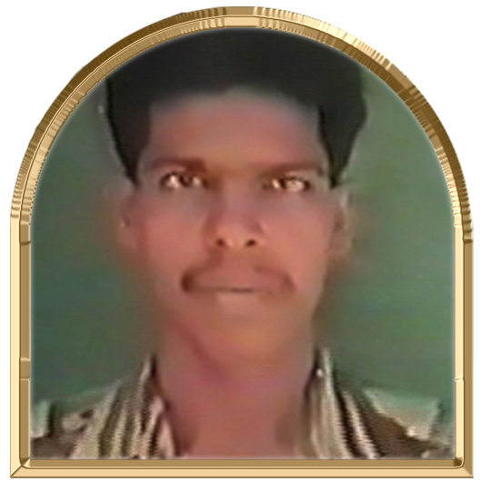 மலர்ச்செல்வன் (விஜே)