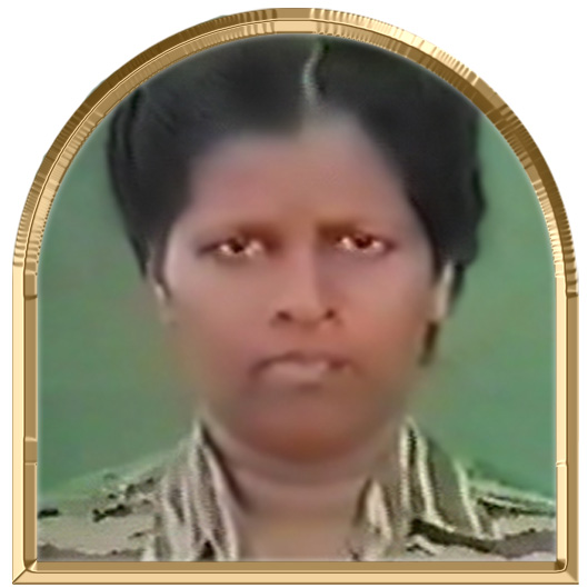சென்நிலா