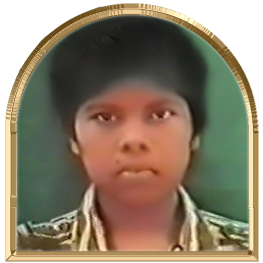 சோழக்குயில்