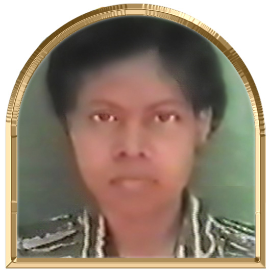 சாணிசிறிரூபி