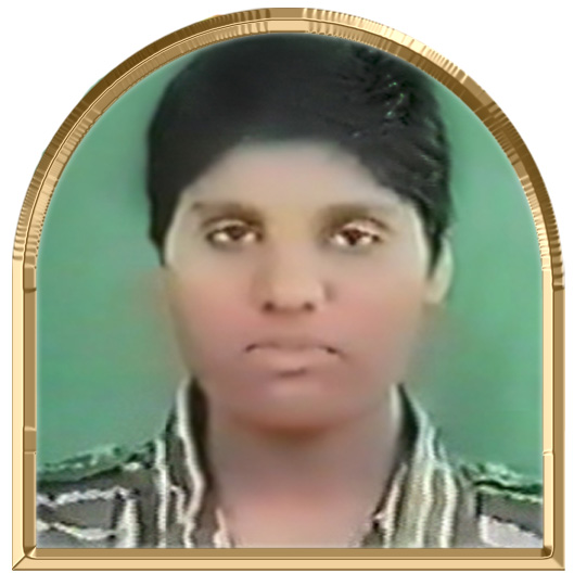 அரசி