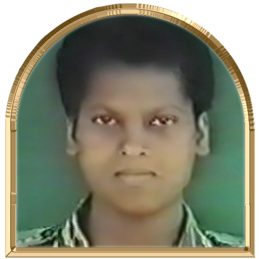 மென்குயிலினி (பாமினி)