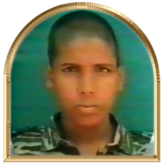 மலர்ச்சோழன்