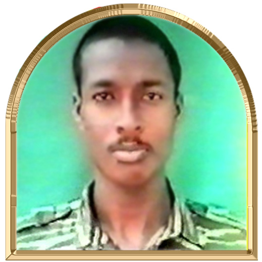 கடற்சோழன் (ஐம்பொறி)