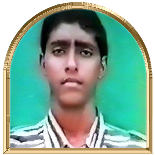 வீரச்சோழன்