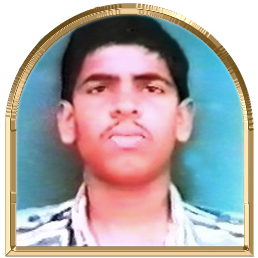 திருமகன் (விகடன்)