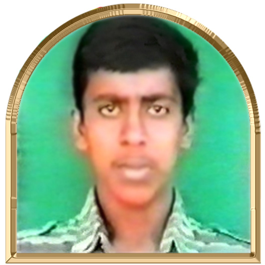 நாகலிங்கம் (அனிதன்)