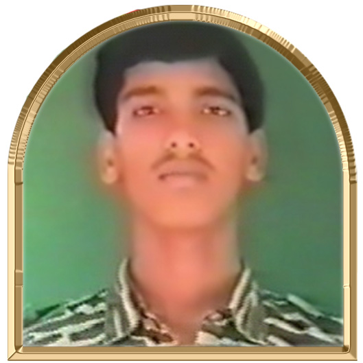 சோழன் (சோழவளநாடான்)