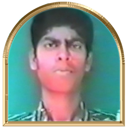 சோழநெஞ்சன்