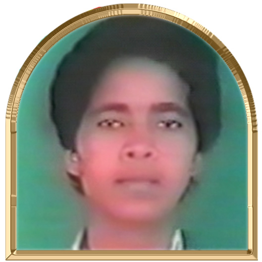 மிருணாளினி