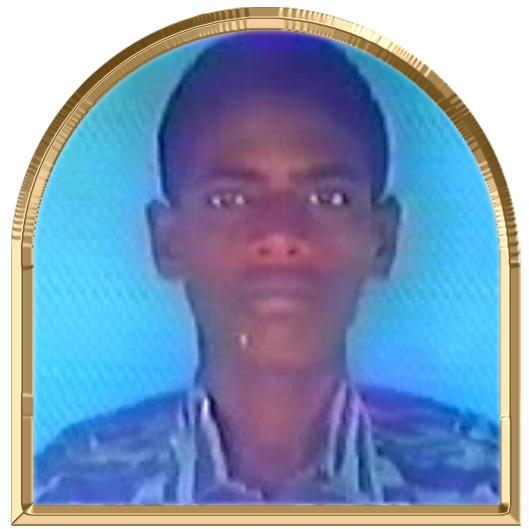 நாவலன்