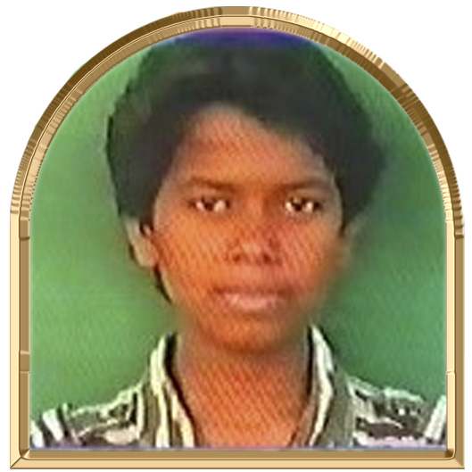 வேதிகா
