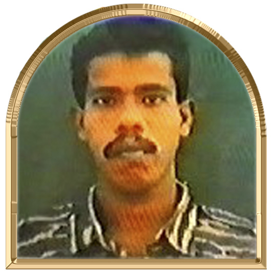 வேங்கை (மாயாவி)