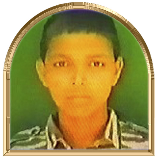 ரவிலோஜன்