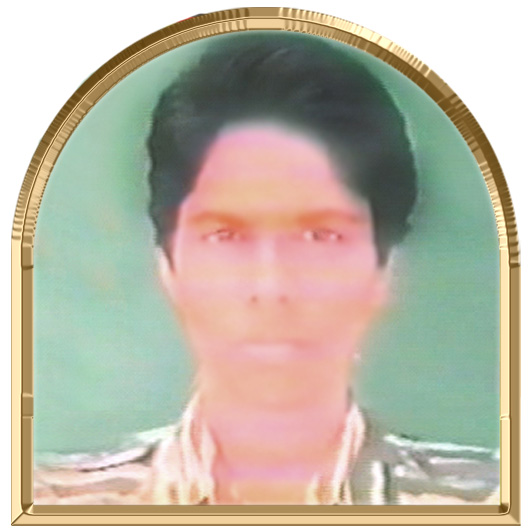 கடலரசி