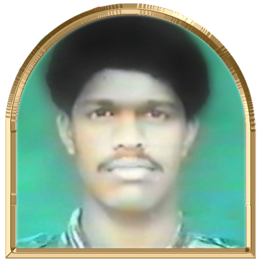 செங்கதிர்வாணன் (வேங்கை)