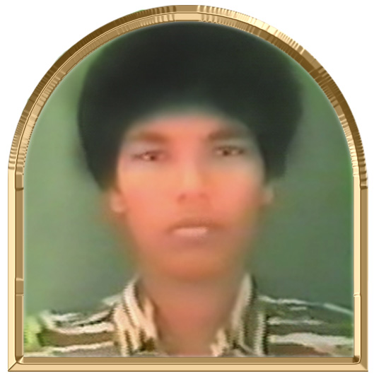 கிருபாலினி