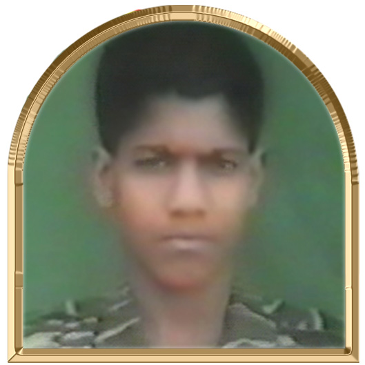 வில்வம்