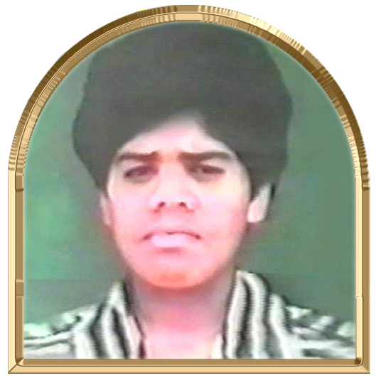 தில்லை