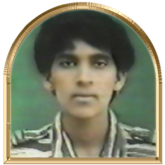 அரசி