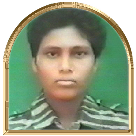 பாமினி