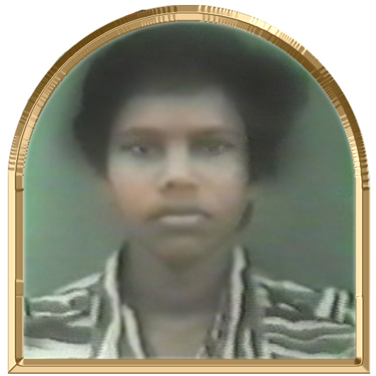 அரசி