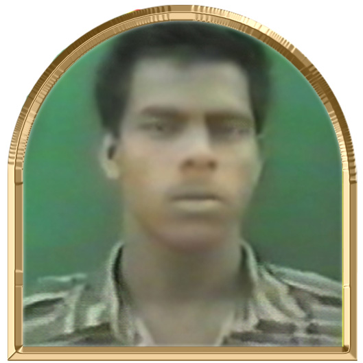 வீகன்