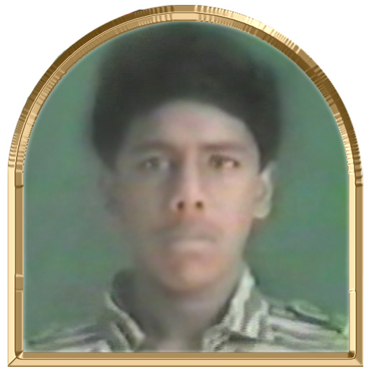 வர்ணமேனன்